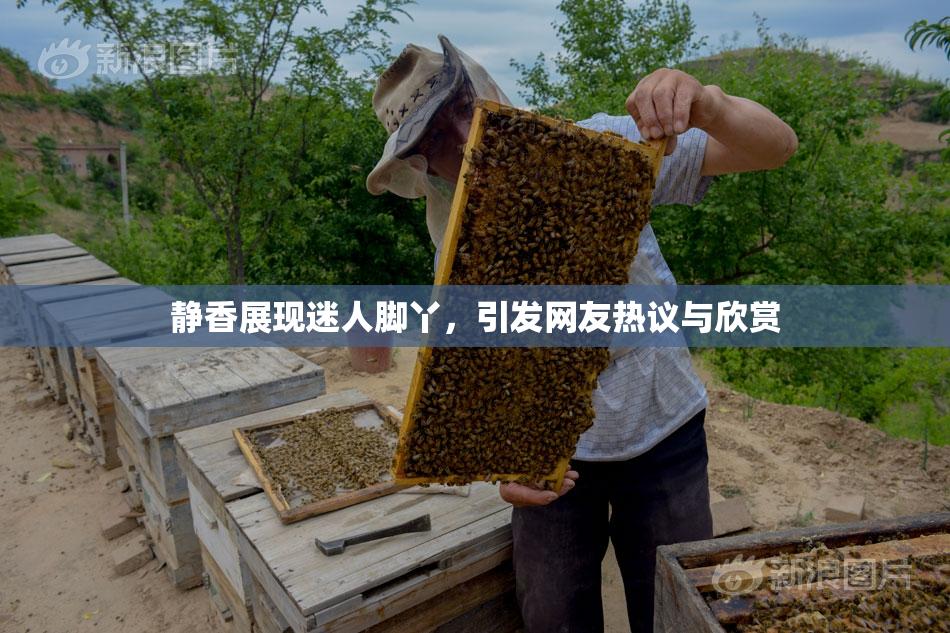静香展现迷人脚丫，引发网友热议与欣赏