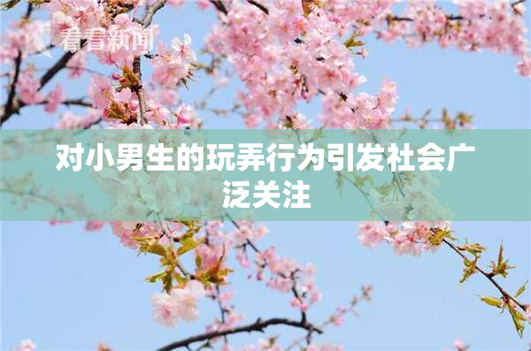对小男生的玩弄行为引发社会广泛关注