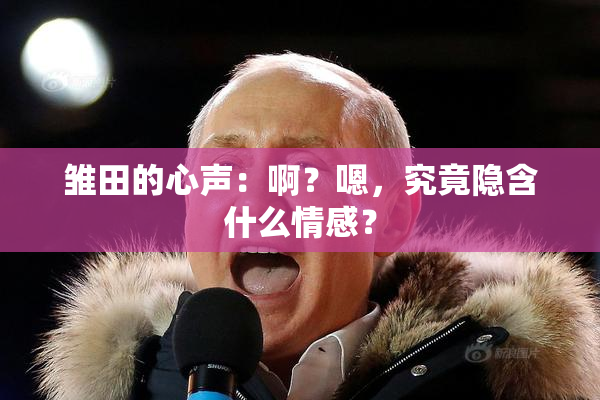 雏田的心声：啊？嗯，究竟隐含什么情感？
