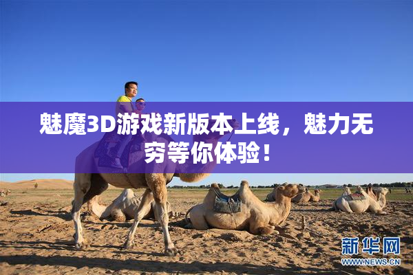 魅魔3D游戏新版本上线，魅力无穷等你体验！