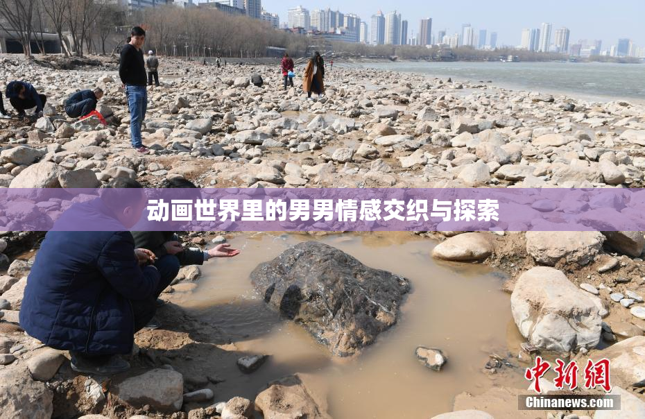 动画世界里的男男情感交织与探索