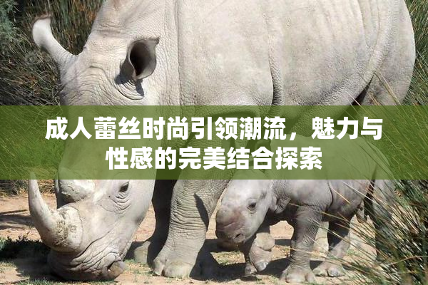 成人蕾丝时尚引领潮流，魅力与性感的完美结合探索