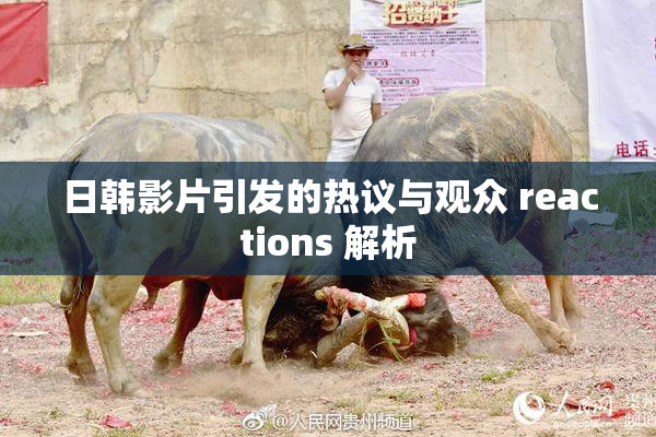 日韩影片引发的热议与观众 reactions 解析