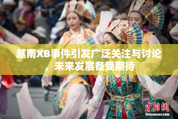 越南XB事件引发广泛关注与讨论，未来发展备受期待