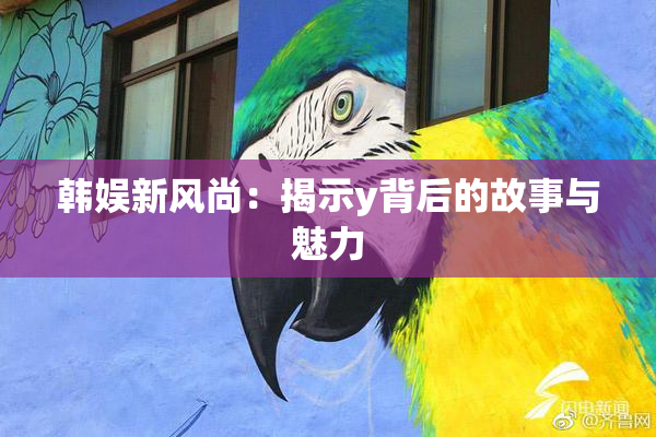 韩娱新风尚：揭示y背后的故事与魅力