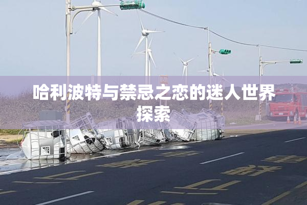 哈利波特与禁忌之恋的迷人世界探索