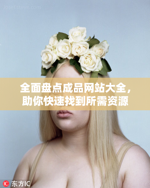 全面盘点成品网站大全，助你快速找到所需资源