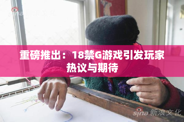 重磅推出：18禁G游戏引发玩家热议与期待