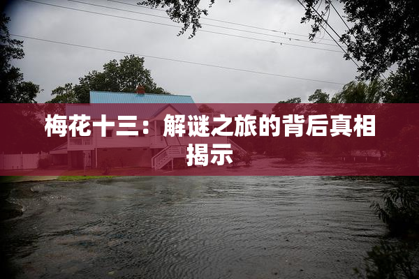 梅花十三：解谜之旅的背后真相揭示