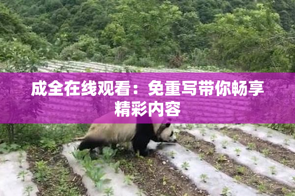 成全在线观看：免重写带你畅享精彩内容