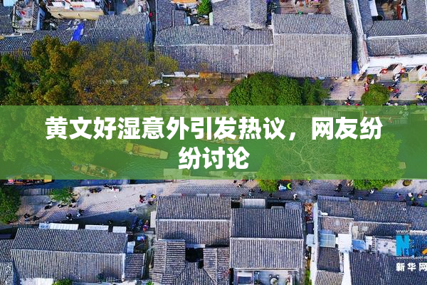黄文好湿意外引发热议，网友纷纷讨论