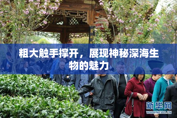 粗大触手撑开，展现神秘深海生物的魅力