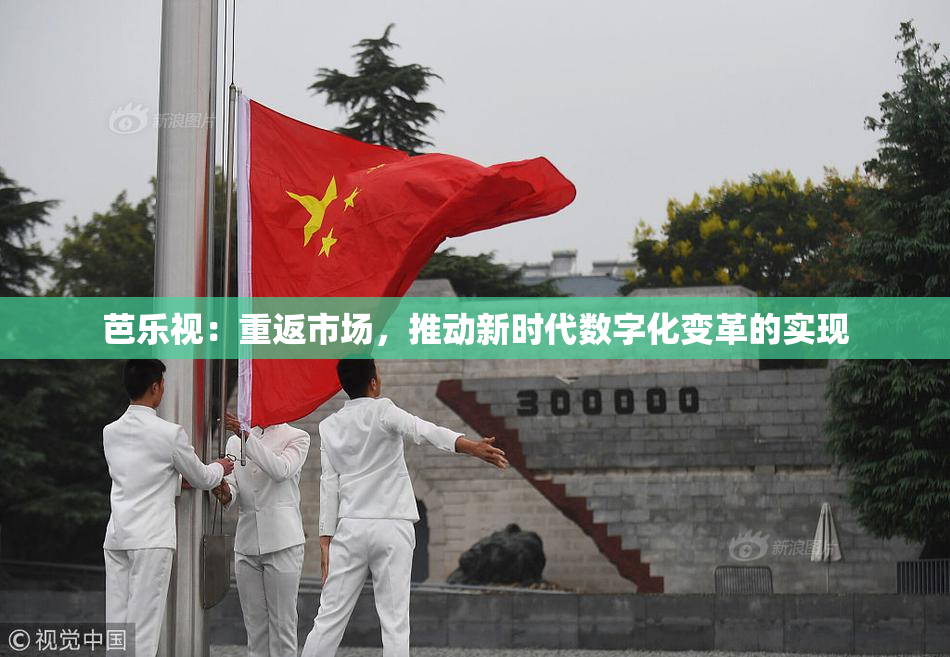 芭乐视：重返市场，推动新时代数字化变革的实现