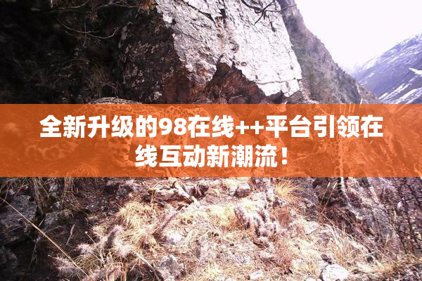 全新升级的98在线++平台引领在线互动新潮流！
