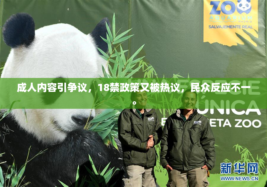 成人内容引争议，18禁政策又被热议，民众反应不一。