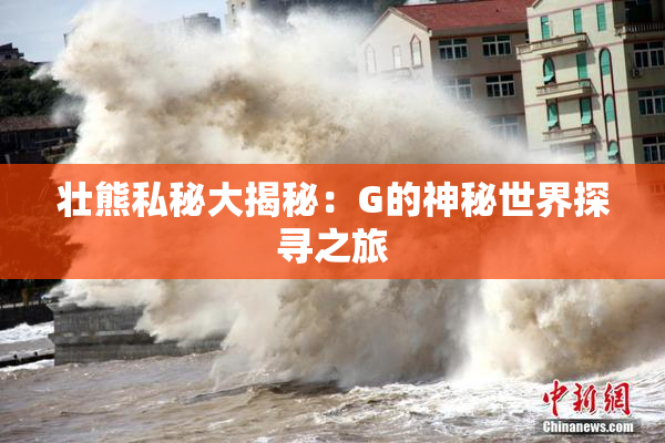 壮熊私秘大揭秘：G的神秘世界探寻之旅