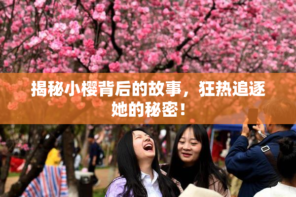 揭秘小樱背后的故事，狂热追逐她的秘密！