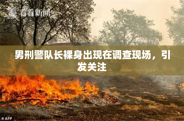 男刑警队长裸身出现在调查现场，引发关注
