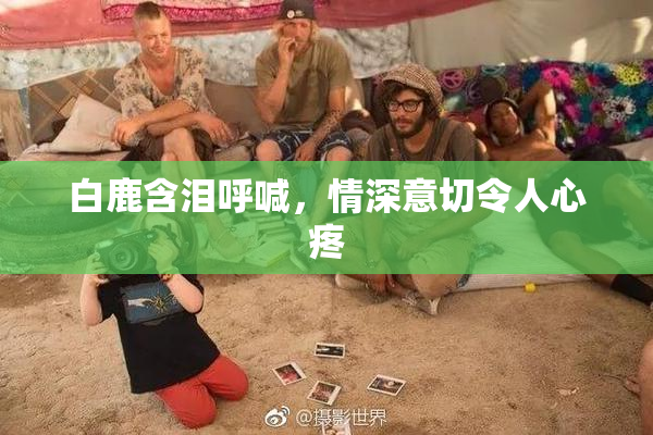 白鹿含泪呼喊，情深意切令人心疼