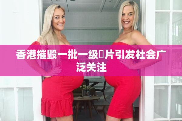 香港摧毁一批一级婬片引发社会广泛关注