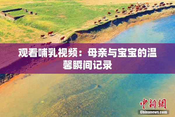 观看哺乳视频：母亲与宝宝的温馨瞬间记录