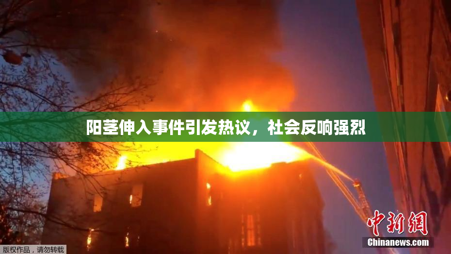 阳茎伸入事件引发热议，社会反响强烈