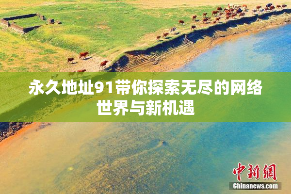 永久地址91带你探索无尽的网络世界与新机遇