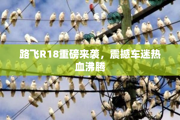 路飞R18重磅来袭，震撼车迷热血沸腾