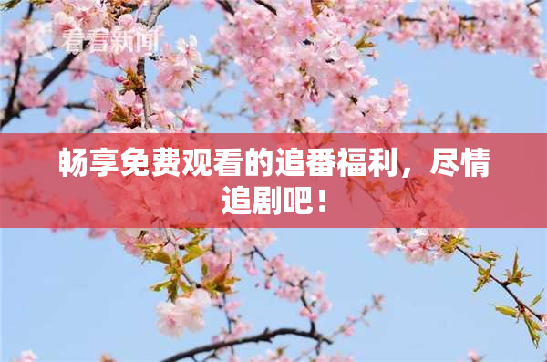 畅享免费观看的追番福利，尽情追剧吧！