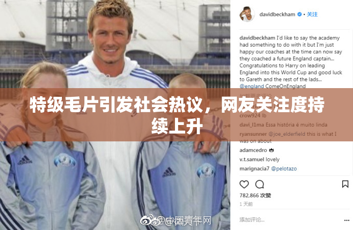 特级毛片引发社会热议，网友关注度持续上升
