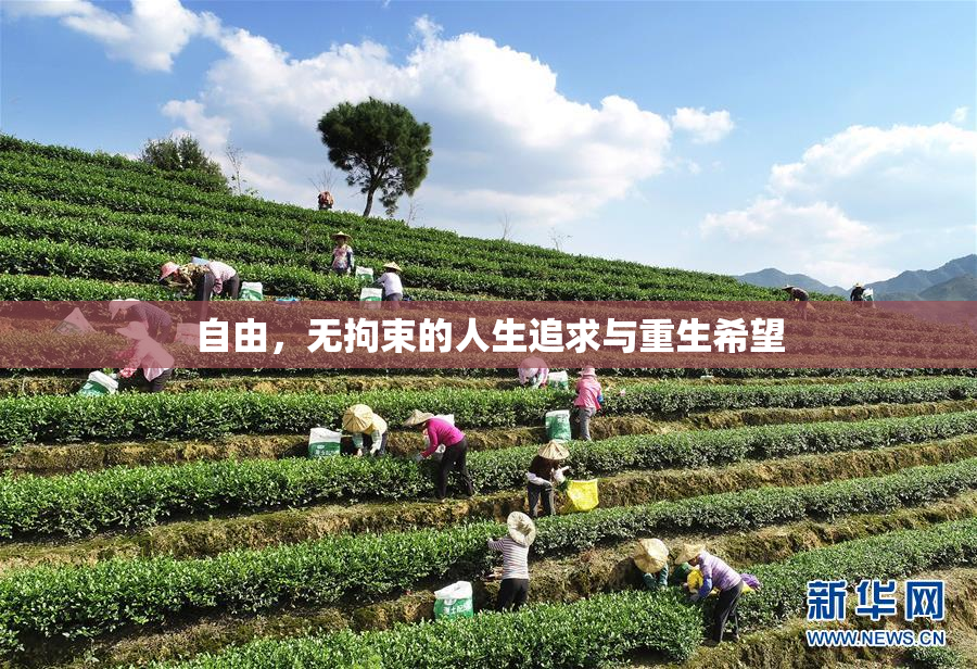 自由，无拘束的人生追求与重生希望