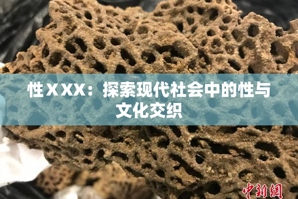 性ⅩXX：探索现代社会中的性与文化交织