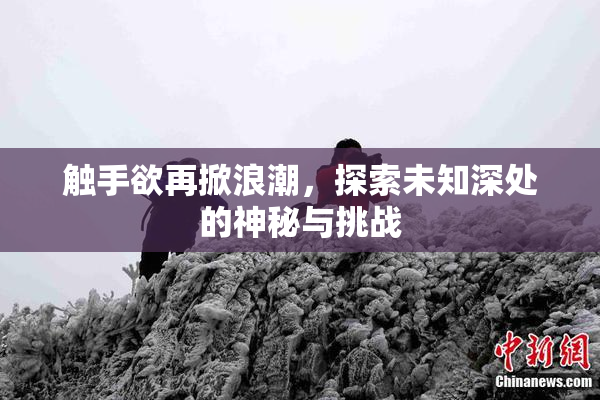 触手欲再掀浪潮，探索未知深处的神秘与挑战
