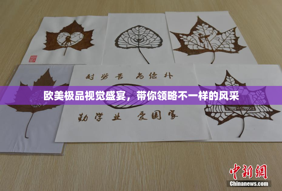 欧美极品视觉盛宴，带你领略不一样的风采