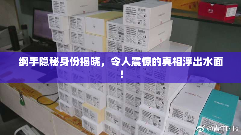 纲手隐秘身份揭晓，令人震惊的真相浮出水面！