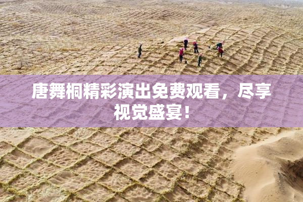 唐舞桐精彩演出免费观看，尽享视觉盛宴！