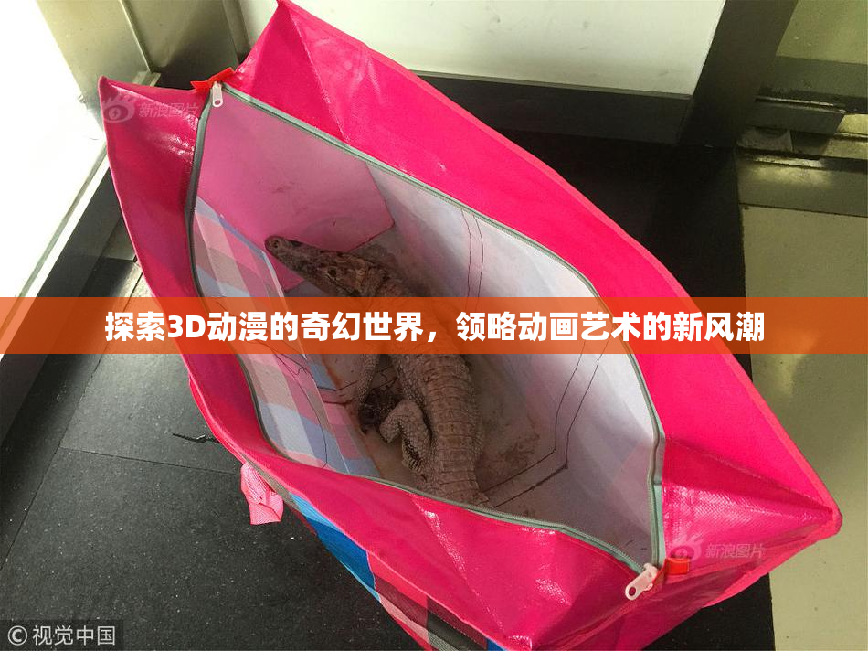 探索3D动漫的奇幻世界，领略动画艺术的新风潮