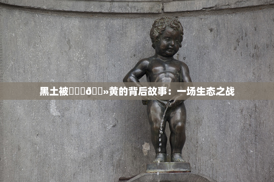 黑土被❌‌‌🐻黄的背后故事：一场生态之战