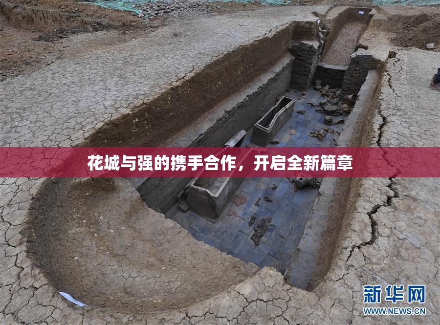 花城与强的携手合作，开启全新篇章