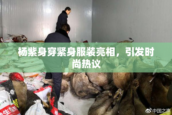 杨紫身穿紧身服装亮相，引发时尚热议