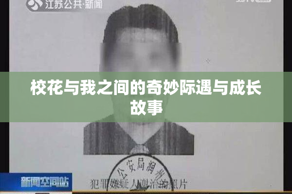 校花与我之间的奇妙际遇与成长故事