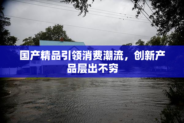 国产精品引领消费潮流，创新产品层出不穷