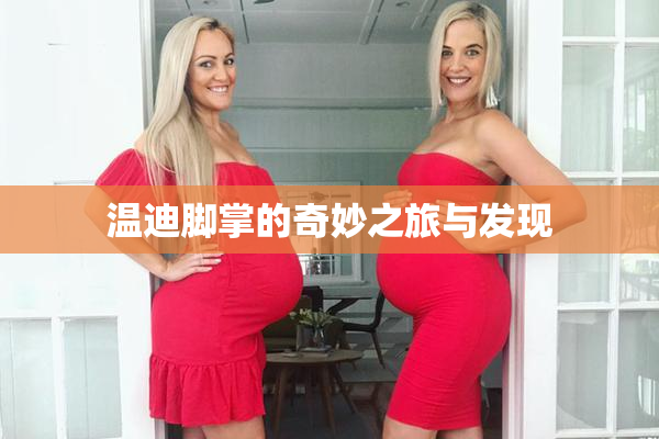 温迪脚掌的奇妙之旅与发现