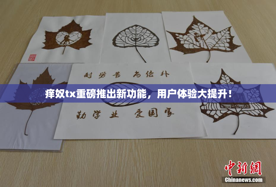 痒奴tx重磅推出新功能，用户体验大提升！