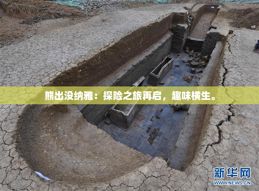 熊出没纳雅：探险之旅再启，趣味横生。