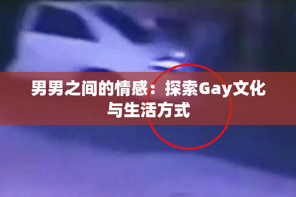 男男之间的情感：探索Gay文化与生活方式