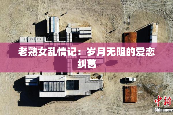 老熟女乱情记：岁月无阻的爱恋纠葛