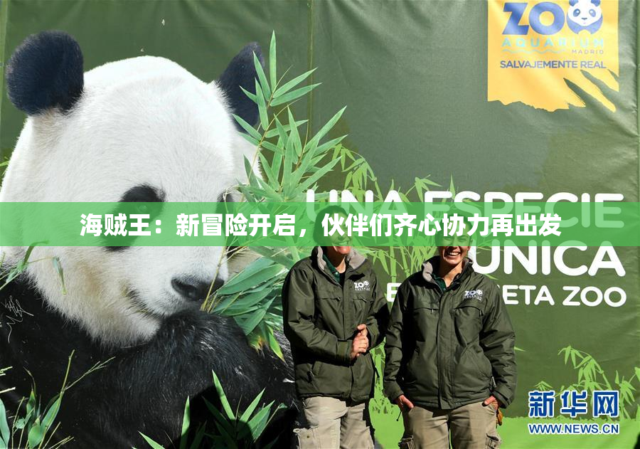 海贼王：新冒险开启，伙伴们齐心协力再出发