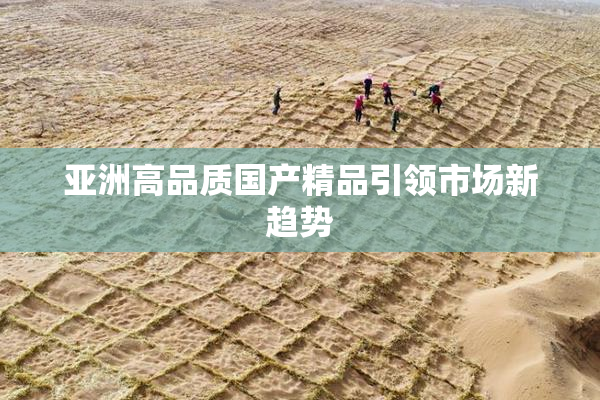 亚洲高品质国产精品引领市场新趋势