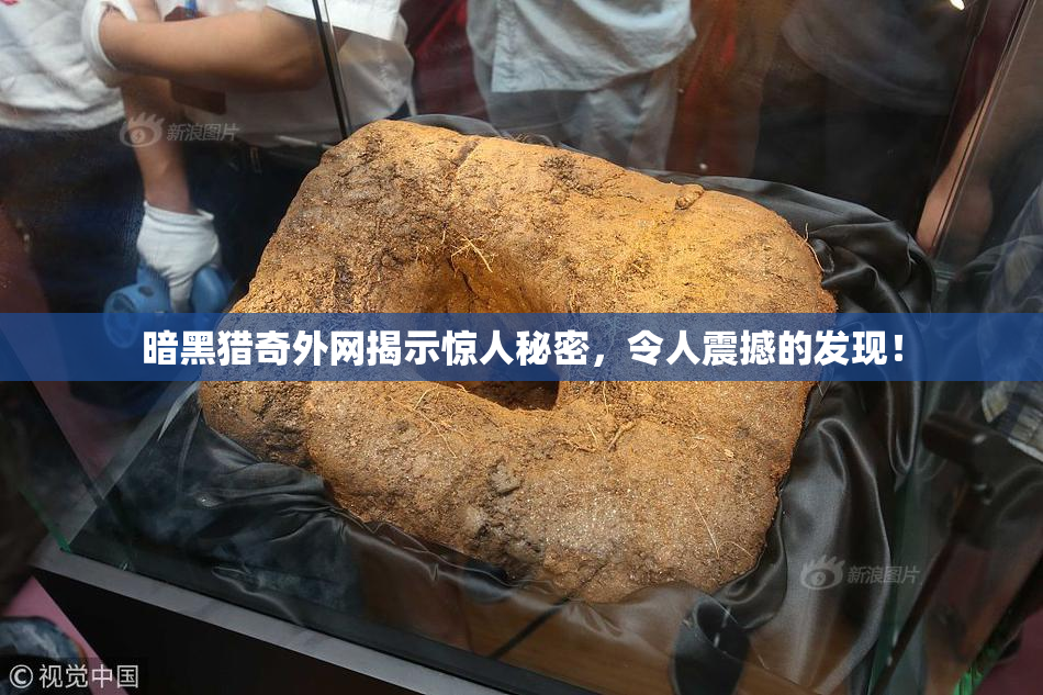 暗黑猎奇外网揭示惊人秘密，令人震撼的发现！